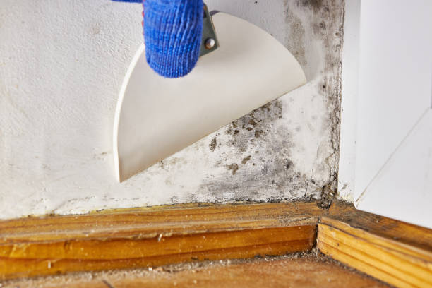 Best Dehumidification Services  in Fair Oaks, CA